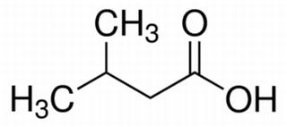 异戊酸